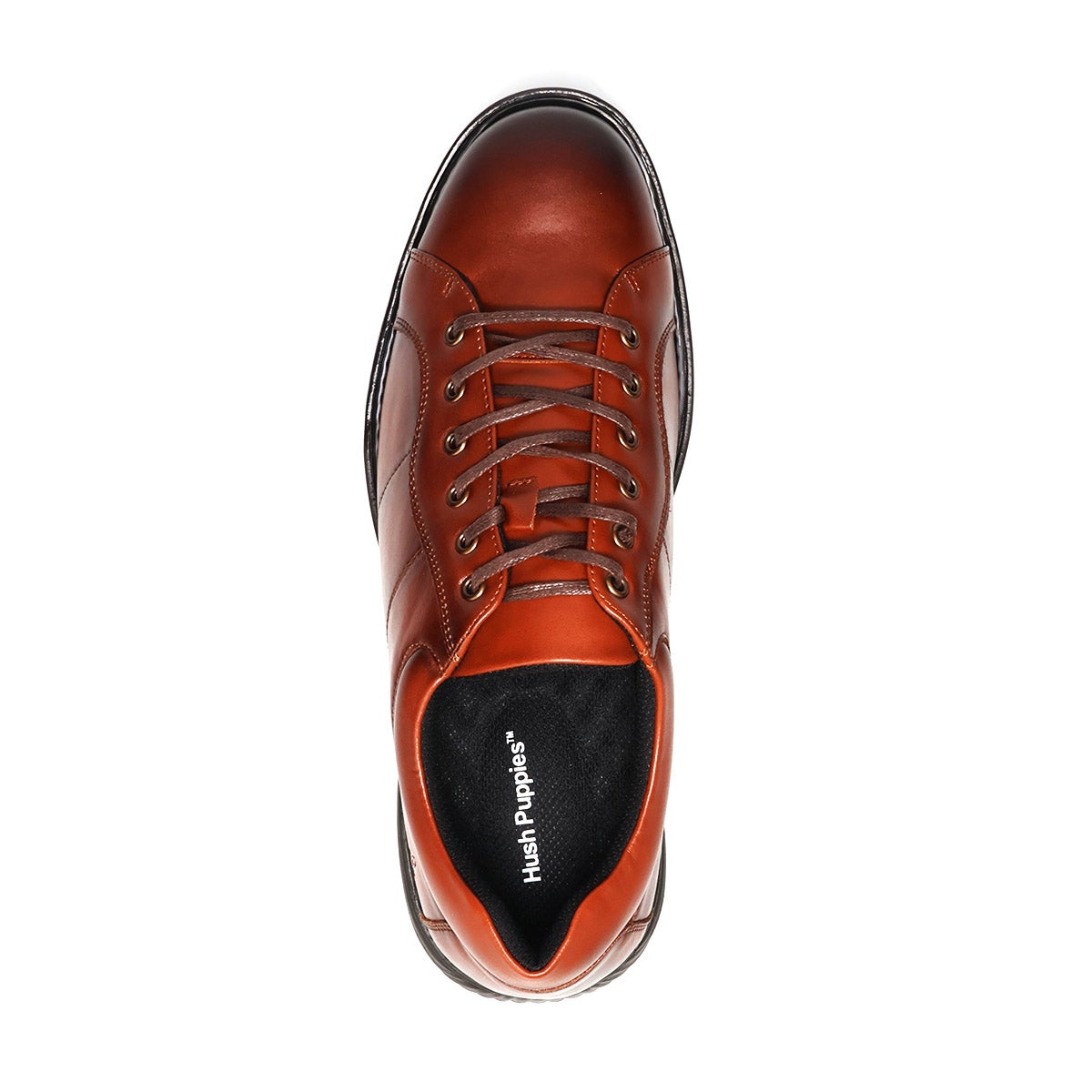 ハッシュパピー メンズ カジュアルシューズ レザースニーカー Hush Puppies m-7129t