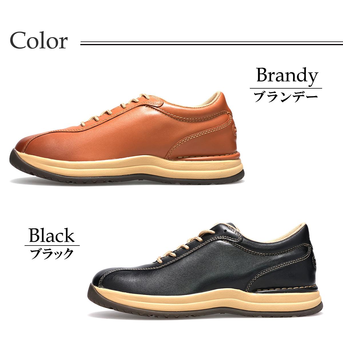  ロックポート メンズ カジュアルシューズ オープンロードタコニック ROCKPORT